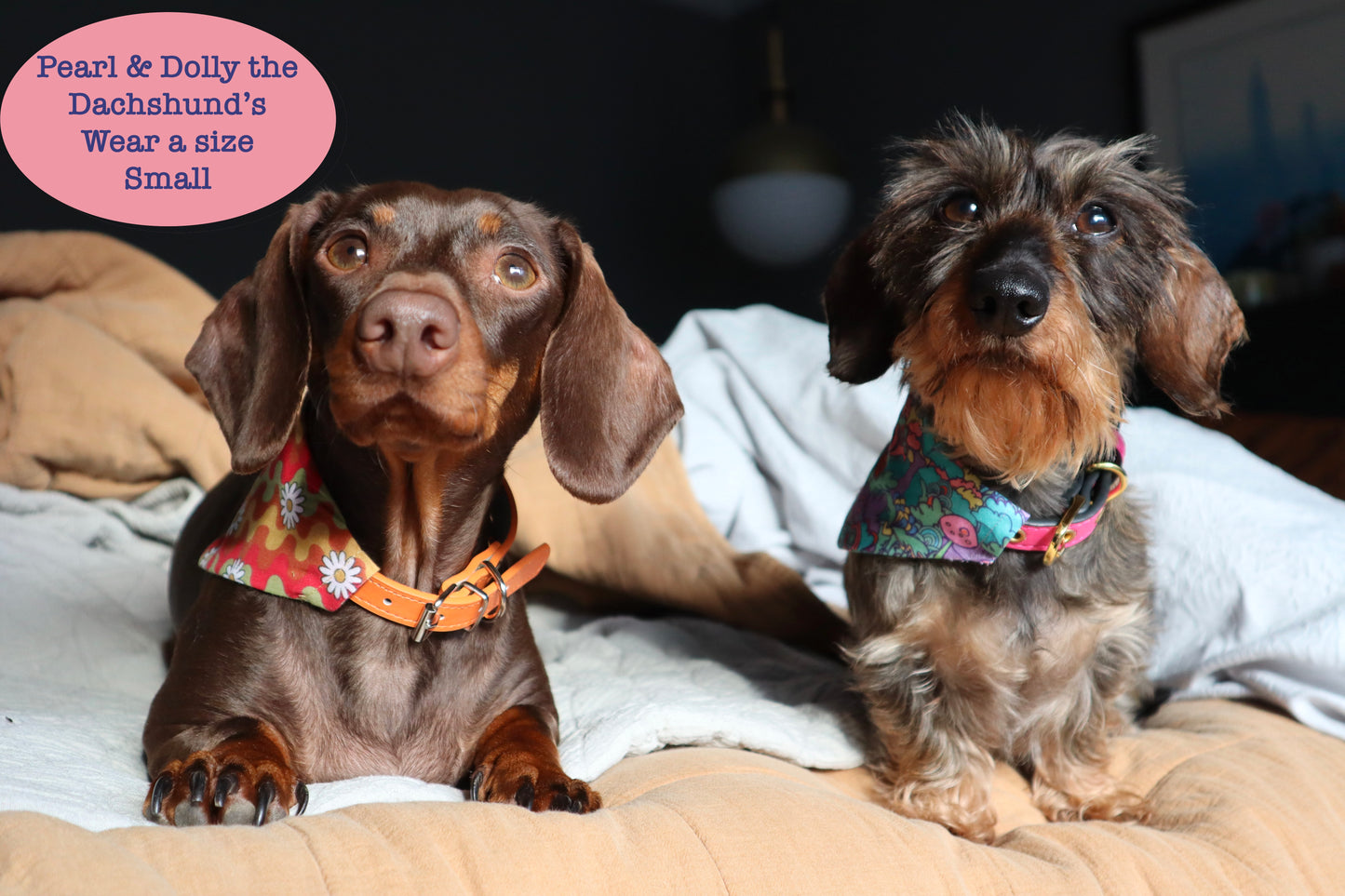 Green Gingham Dog Bandana - Pick your collar colour!