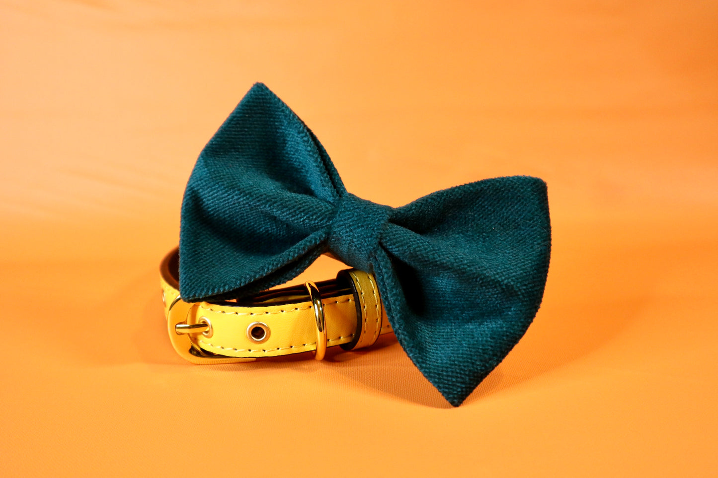 Teal Green Dog bow tie