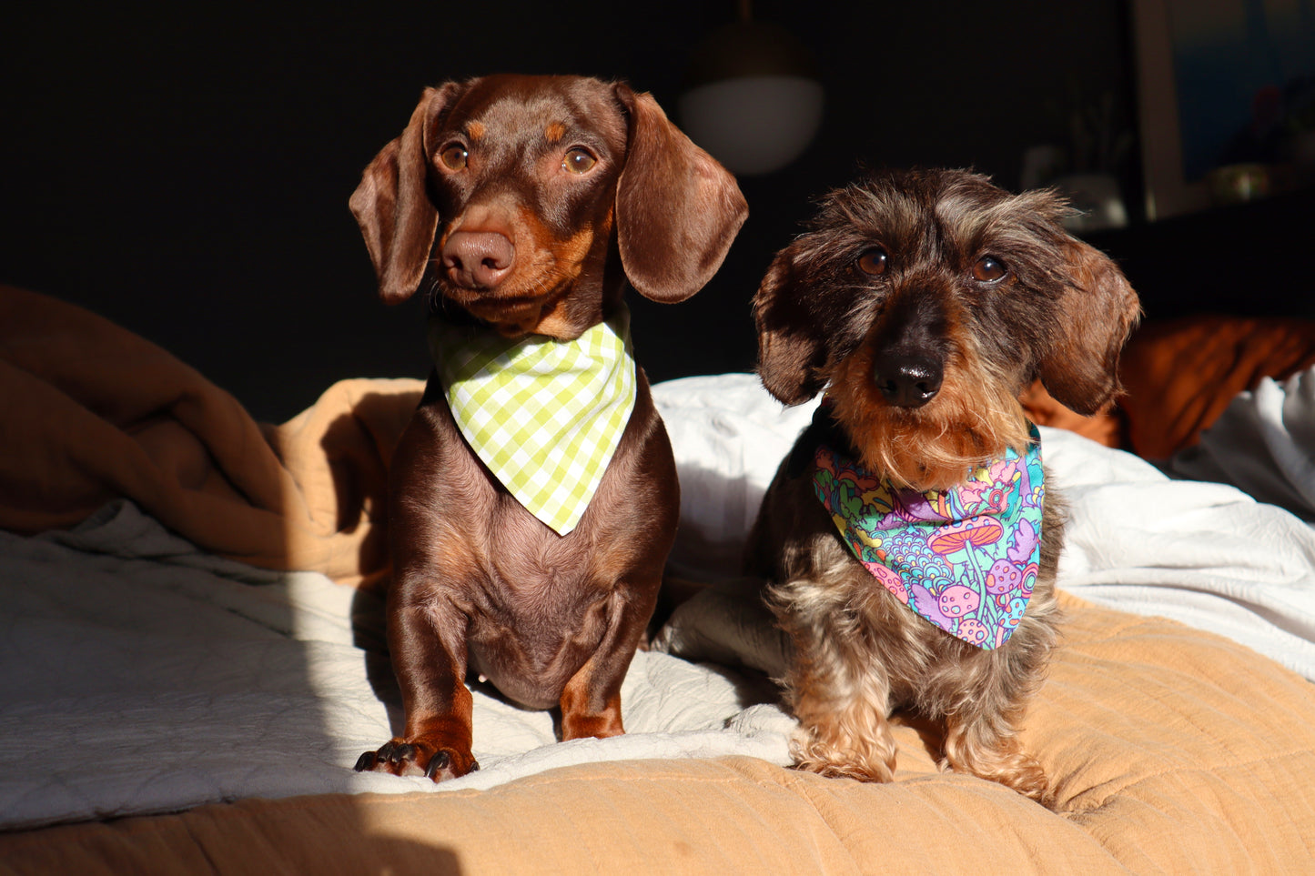 Lilac Gingham Bandana - Pick your collar colour!