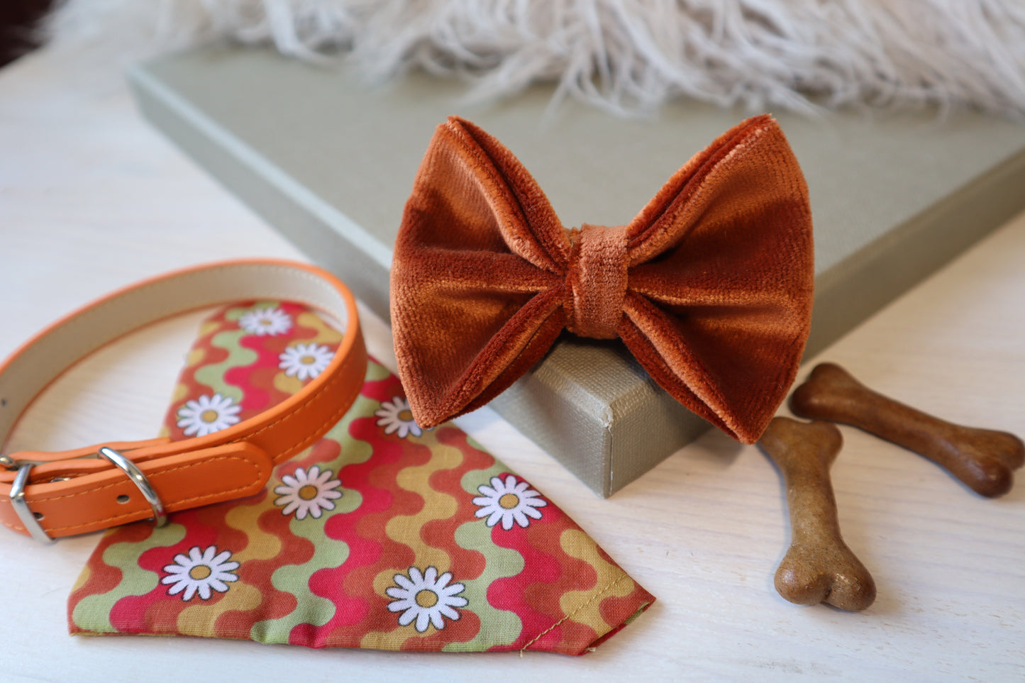 Burnt Orange Velvet Dog Bow Tie