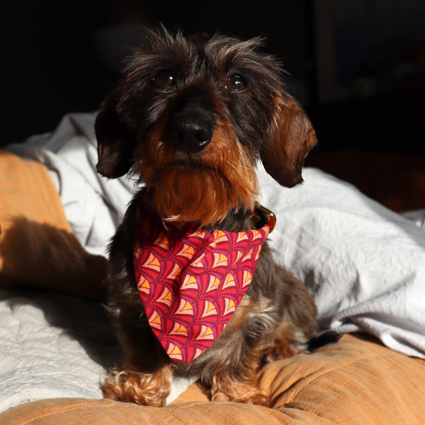 Geometric Pattern Dog Bandana - Pick your collar colour!