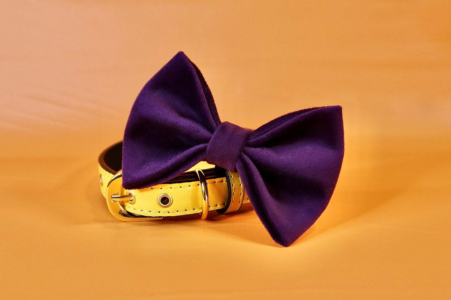 Purple Velvet Dog bow tie