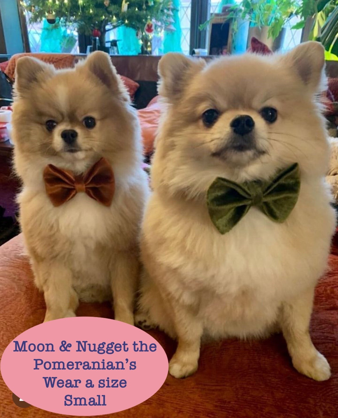 Beige Corduroy Dog Bow Tie