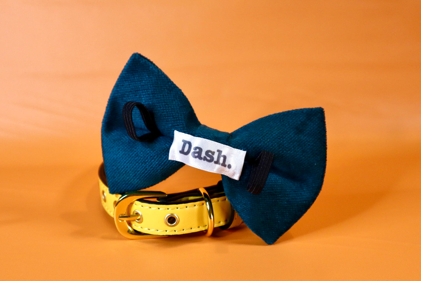 Teal Green Dog bow tie