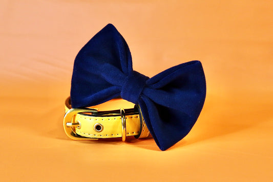 Navy Blue Velvet Dog bow tie