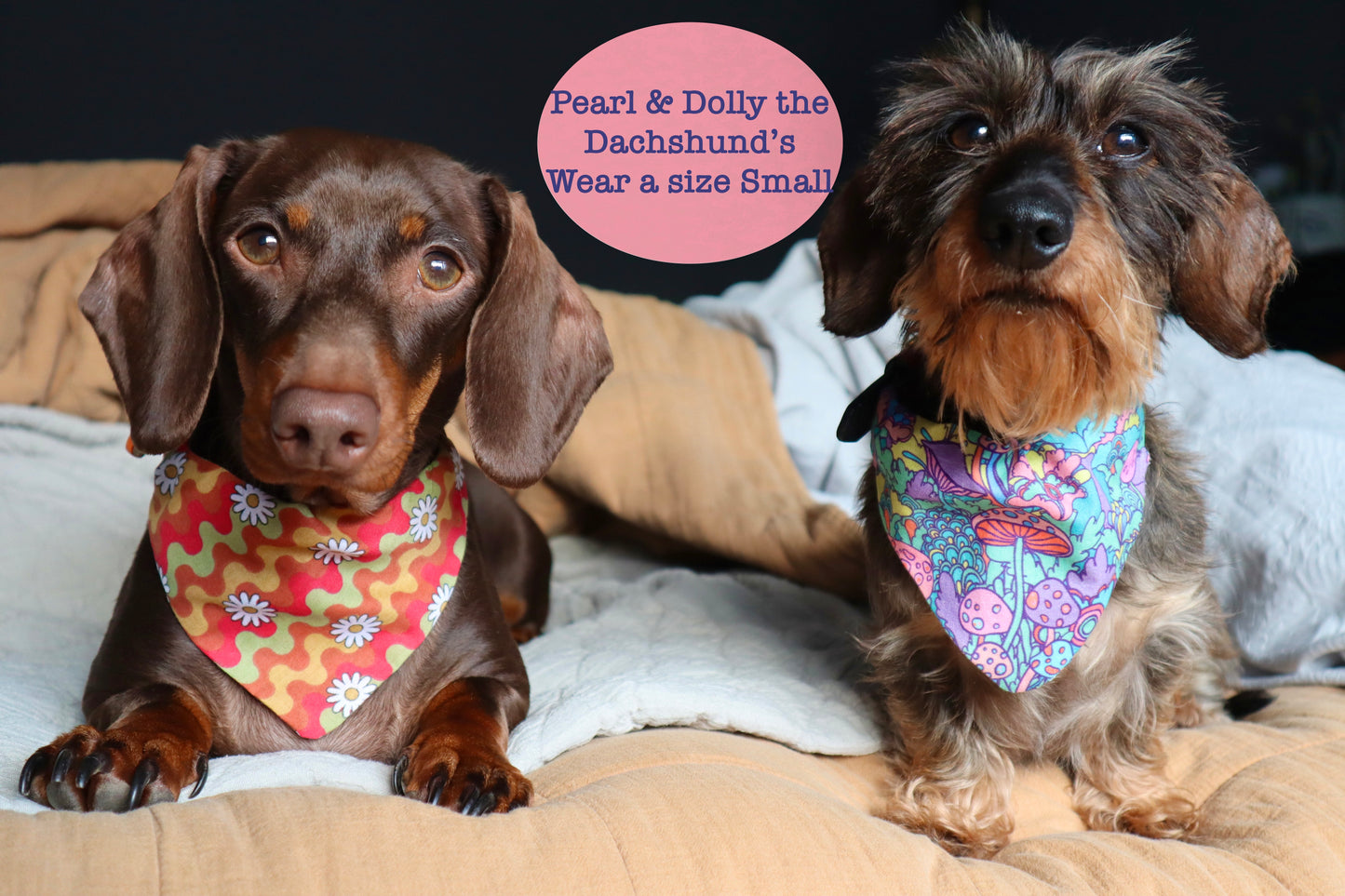 Geometric Pattern Dog Bandana - Pick your collar colour!