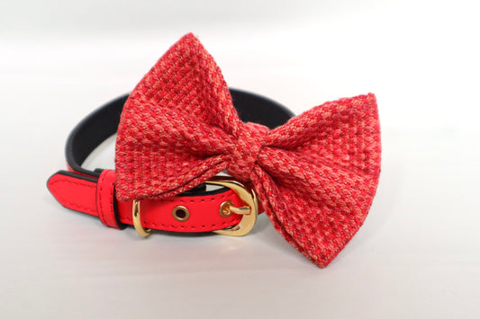 Red and Pink Dog Bow Tie