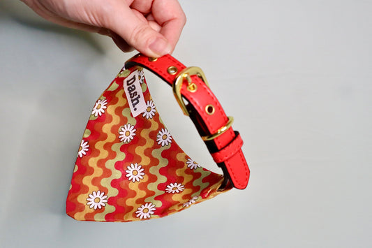 Daisy Pattern Red, Yellow, Green Dog Bandana - Pick your collar colour!